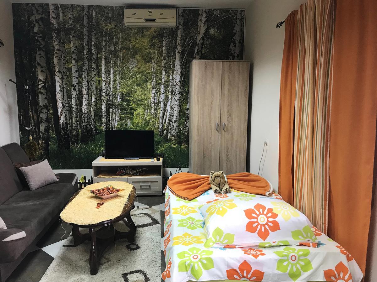 Lana Apartment Podgorica Extérieur photo