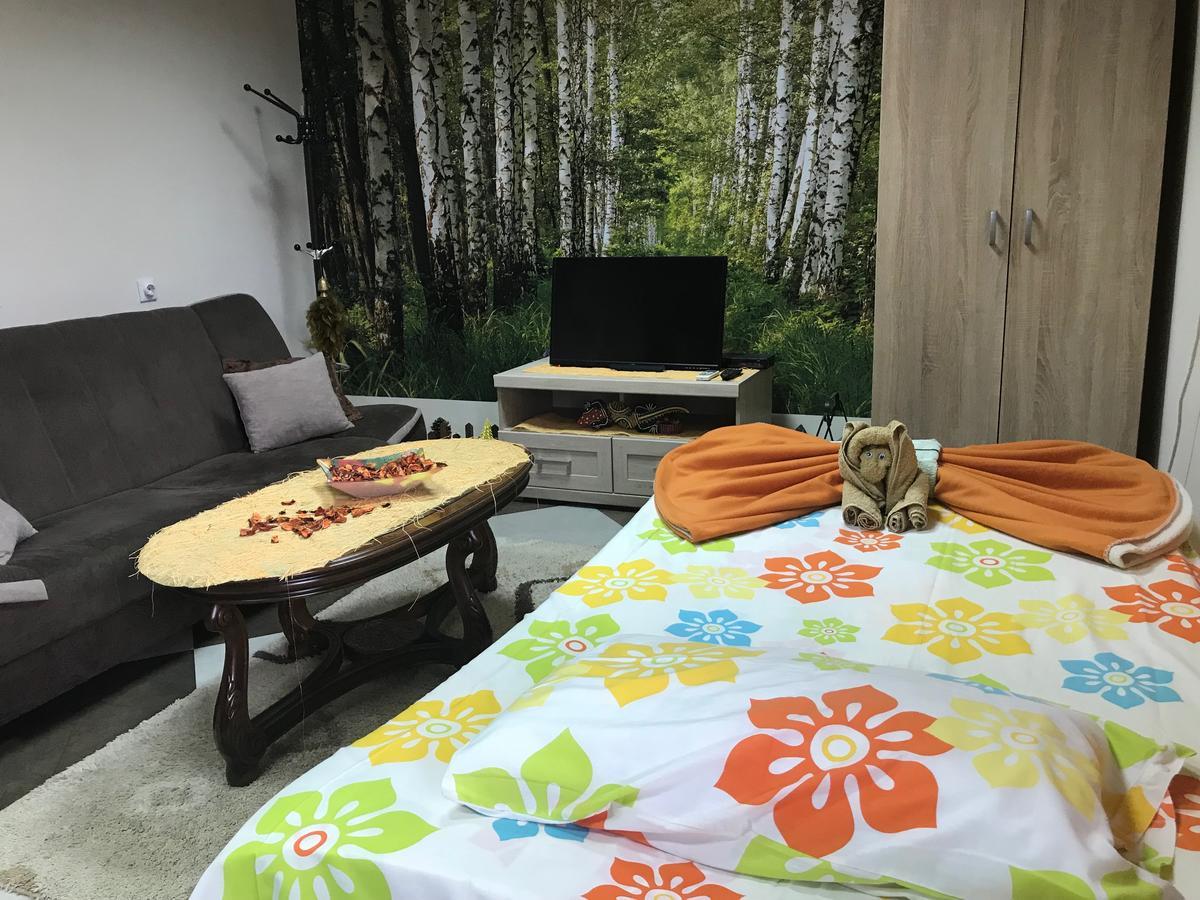 Lana Apartment Podgorica Extérieur photo