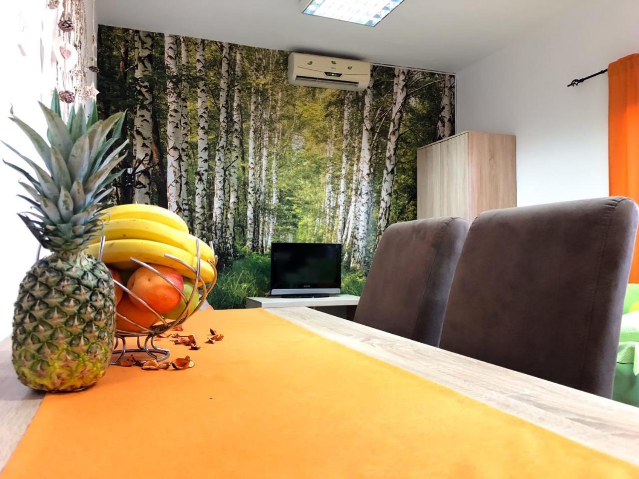 Lana Apartment Podgorica Extérieur photo
